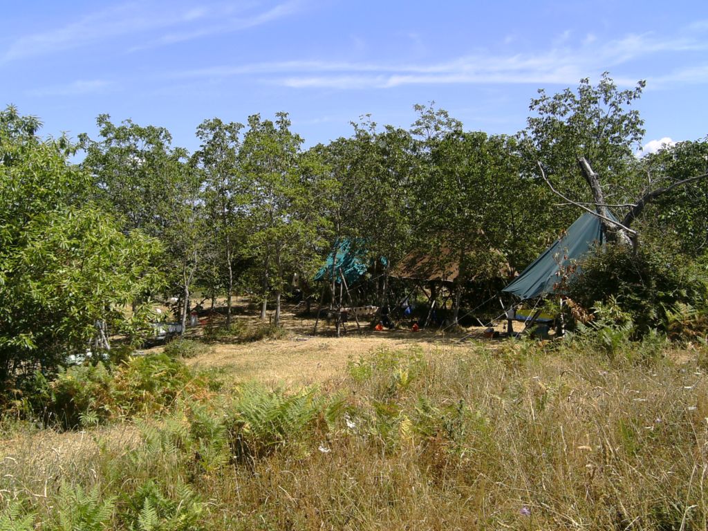 campo castagneto 1