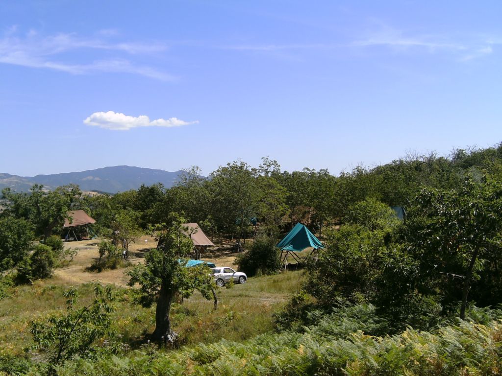 campo castagneto 1