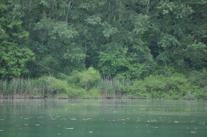 lago