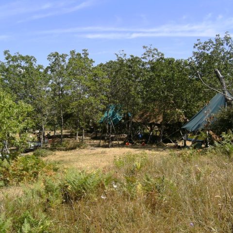 campo castagneto 1