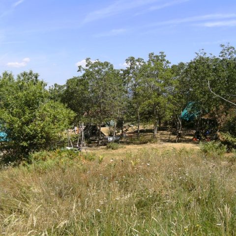 campo castagneto 1 