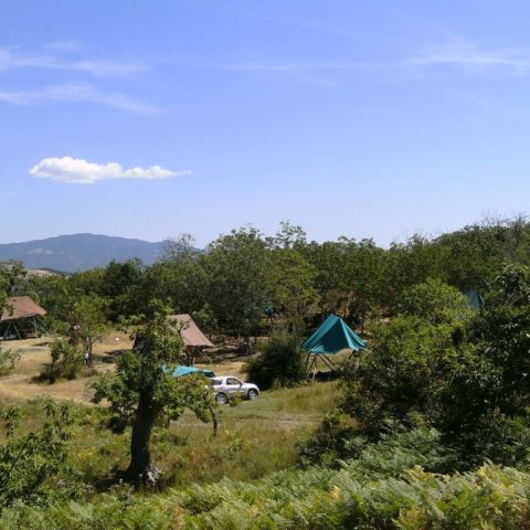 campo castagneto 1